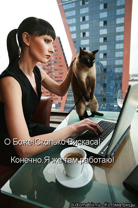 О Боже!Сколько Вискаса! Конечно.Я же там работаю!... Котоматрица: О Боже!Сколько Вискаса! Конечно.Я же там работаю!