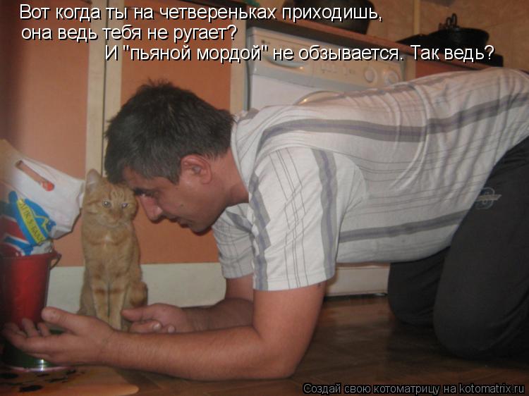 Вот когда ты на четвереньках приходишь, она ведь тебя не ругает? И "пьяной мордой" не обзывается. Т... Котоматрица: Вот когда ты на четвереньках приходишь, она ведь тебя не ругает? И "пьяной мордой" не обзывается. Так ведь?