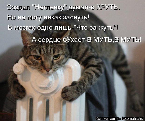 Создал "Нетленку",думал-в КРУТЬ. Но не могу никак заснуть! В мозгах одно лишь-"Что за жуть"! А сердце... Котоматрица: Создал "Нетленку",думал-в КРУТЬ. Но не могу никак заснуть! В мозгах одно лишь-"Что за жуть"! А сердце бУхает-В МУТЬ,В МУТЬ!