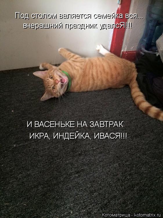 вчерашний праздник удалсЯ!!! Под столом валяется семейка вся... ИКРА, ИНДЕЙКА, ИВАСЯ!!! И ВАСЕНЬКЕ НА... Котоматрица: вчерашний праздник удалсЯ!!! Под столом валяется семейка вся... ИКРА, ИНДЕЙКА, ИВАСЯ!!! И ВАСЕНЬКЕ НА ЗАВТРАК