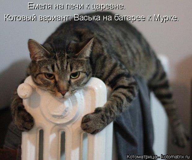 Емеля на печи к царевне. Котовый вариант: Васька на батарее к Мурке.... Котоматрица: Емеля на печи к царевне. Котовый вариант: Васька на батарее к Мурке.