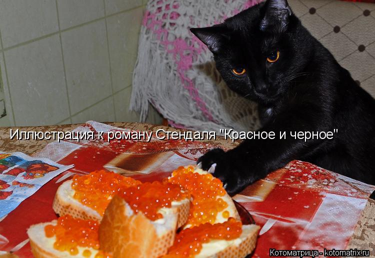 Иллюстрация к роману Стендаля "Красное и черное"... Котоматрица: Иллюстрация к роману Стендаля "Красное и черное"