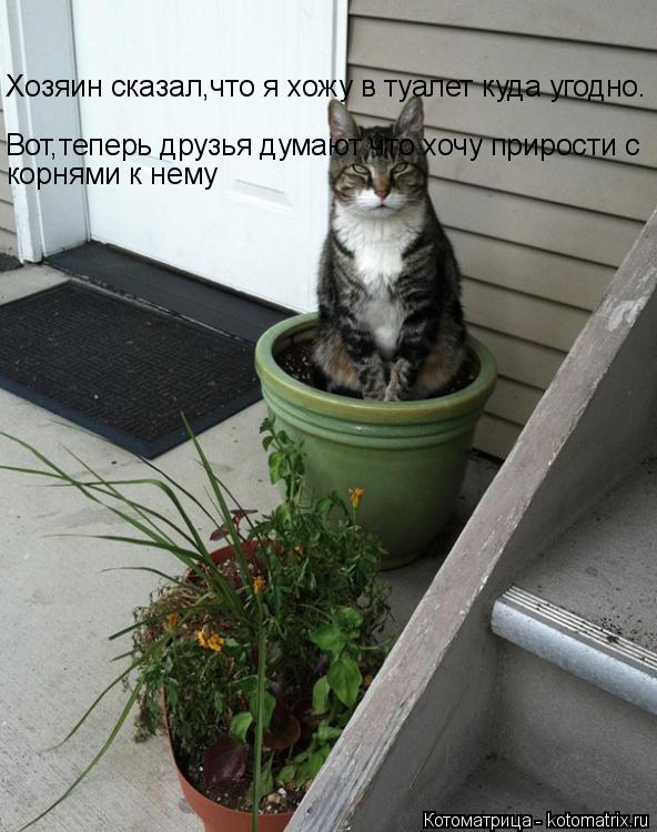 Хозяин сказал,что я хожу в туалет куда угодно. Вот,теперь друзья думают что хочу прирости с корнями к... Котоматрица: Хозяин сказал,что я хожу в туалет куда угодно. Вот,теперь друзья думают что хочу прирости с корнями к нему Вот,теперь друзья думают что хочу