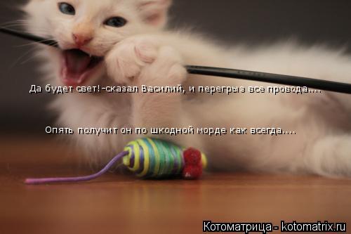 Да будет свет!-сказал Василий, и перегрыз все провода.... Опять получит он по шкодной морде как всег... Котоматрица: Да будет свет!-сказал Василий, и перегрыз все провода.... Опять получит он по шкодной морде как всегда....