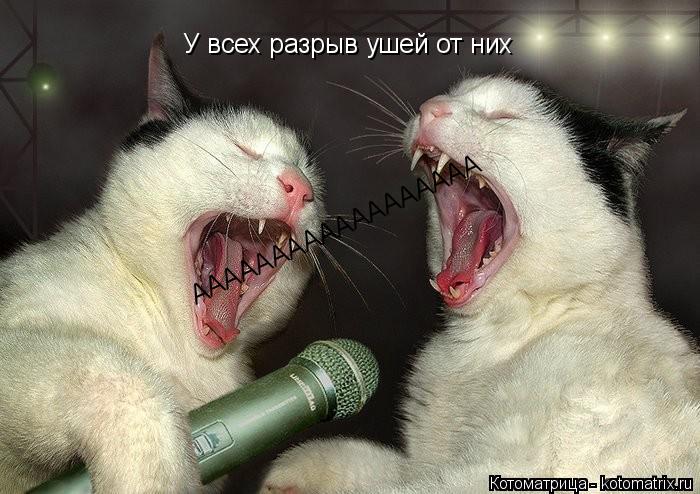 У всех разрыв ушей от них АААААААААААААААААА... Котоматрица: У всех разрыв ушей от них АААААААААААААААААА