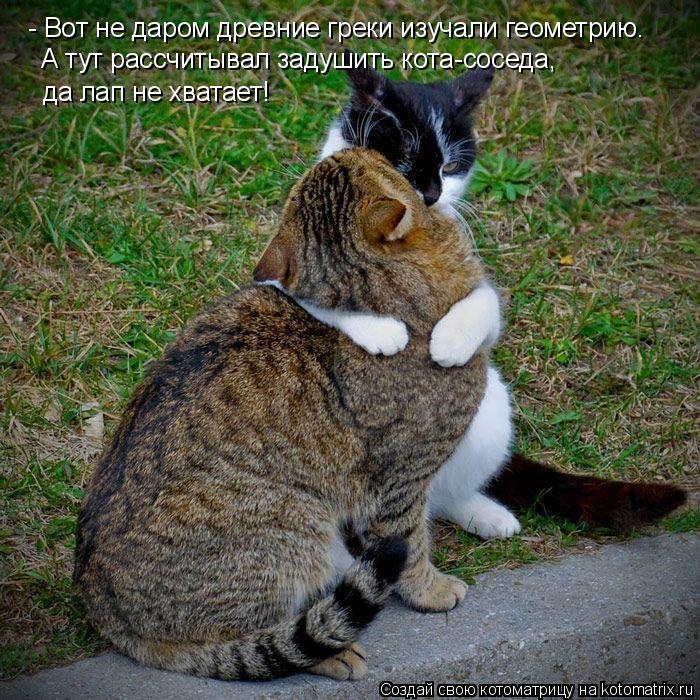 - Вот не даром древние греки изучали геометрию. А тут рассчитывал задушить кота-соседа, да лап не хва... Котоматрица: - Вот не даром древние греки изучали геометрию. А тут рассчитывал задушить кота-соседа, да лап не хватает!