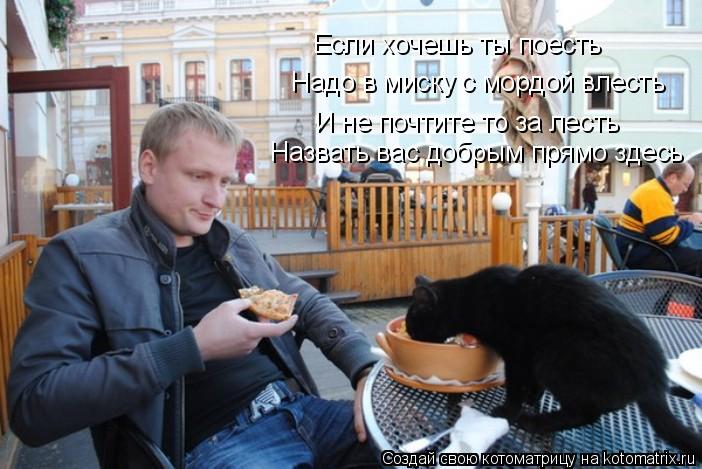Если хочешь ты поесть Надо в миску с мордой влесть И не почтите то за лесть Назвать вас добрым прямо ... Котоматрица: Если хочешь ты поесть Надо в миску с мордой влесть И не почтите то за лесть Назвать вас добрым прямо здесь