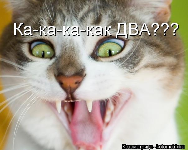 Ка-ка-ка-как ДВА???... Котоматрица: Ка-ка-ка-как ДВА???