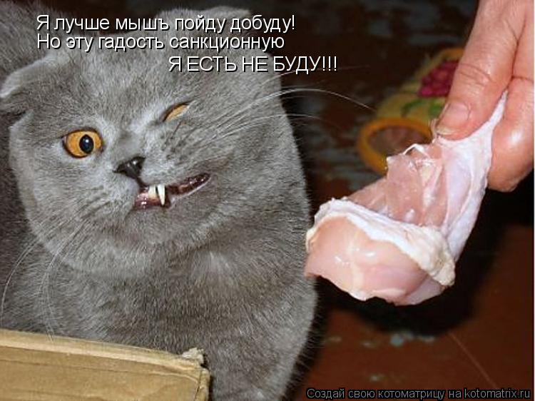 Я лучше мышъ пойду добуду! Но эту гадость санкционную Я ЕСТЬ НЕ БУДУ!!!... Котоматрица: Я лучше мышъ пойду добуду! Но эту гадость санкционную Я ЕСТЬ НЕ БУДУ!!!