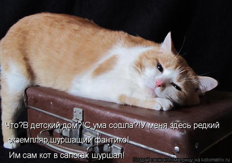 Что?В детский дом?!С ума сошла?!У меня здесь редкий экземпляр,шуршащий фантико! Им сам кот в сапога... Котоматрица: Что?В детский дом?!С ума сошла?!У меня здесь редкий экземпляр,шуршащий фантико! Им сам кот в сапогах шуршал!