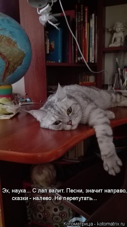 Эх, наука... С лап валит. Песни, значит направо, сказки - налево. Не перепутать...... Котоматрица: Эх, наука... С лап валит. Песни, значит направо, сказки - налево. Не перепутать...