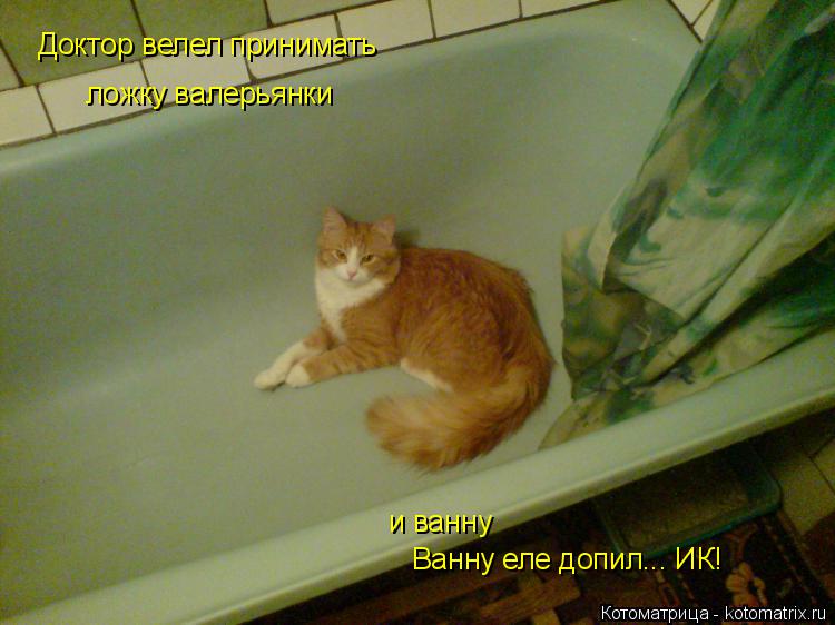 Доктор велел принимать ложку валерьянки и ванну Ванну еле допил... ИК!... Котоматрица: Доктор велел принимать ложку валерьянки и ванну Ванну еле допил... ИК!