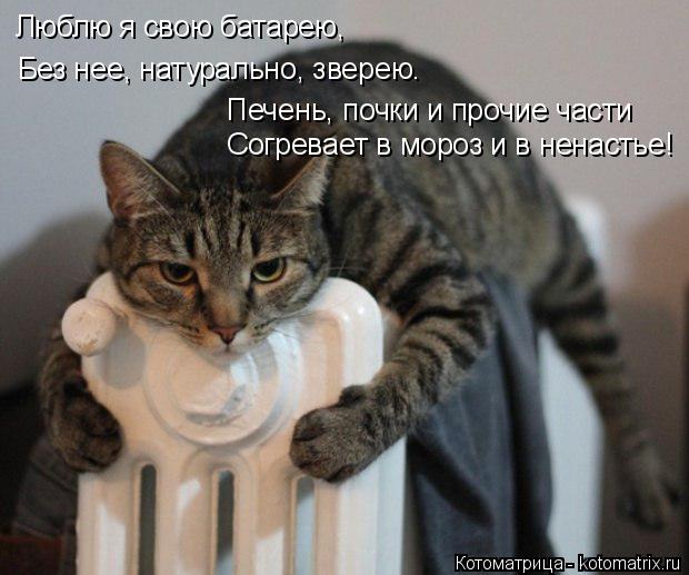Люблю я свою батарею, Без нее, натурально, зверею. Печень, почки и прочие части Согревает в мороз и в... Котоматрица: Люблю я свою батарею, Без нее, натурально, зверею. Печень, почки и прочие части Согревает в мороз и в ненастье!