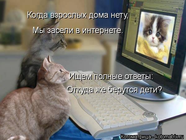Мы засели в интернете. Когда взрослых дома нету, Ищем полные ответы: Откуда же берутся дети?... Котоматрица: Мы засели в интернете. Когда взрослых дома нету, Ищем полные ответы: Откуда же берутся дети?