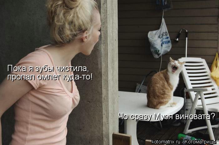 Чо сразу Муся виновата? Пока я зубы чистила, пропал омлет куда-то!... Котоматрица: Чо сразу Муся виновата? Пока я зубы чистила, пропал омлет куда-то!