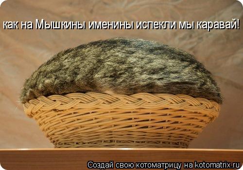 как на Мышкины именины испекли мы каравай!... Котоматрица: как на Мышкины именины испекли мы каравай!