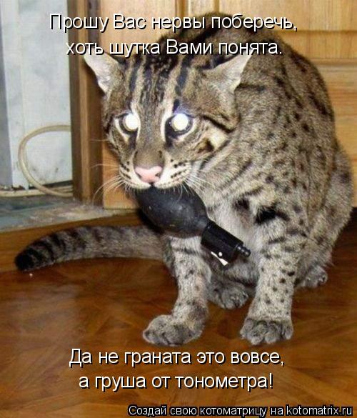 Да не граната это вовсе, а груша от тонометра! Прошу Вас нервы поберечь, хоть шутка Вами понята.... Котоматрица: Да не граната это вовсе, а груша от тонометра! Прошу Вас нервы поберечь, хоть шутка Вами понята.