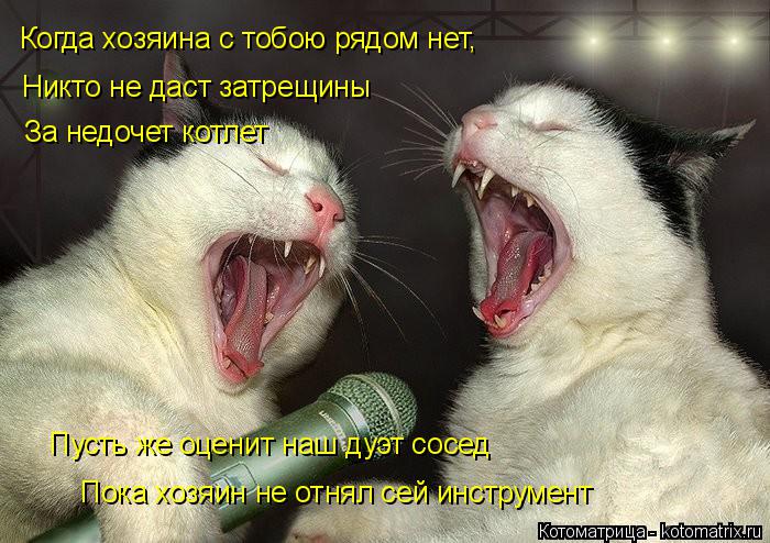 Когда хозяина с тобою рядом нет, Никто не даст затрещины За недочет котлет Пусть же оценит наш дуэт ... Котоматрица: Когда хозяина с тобою рядом нет, Никто не даст затрещины За недочет котлет Пусть же оценит наш дуэт сосед Пока хозяин не отнял сей инструме