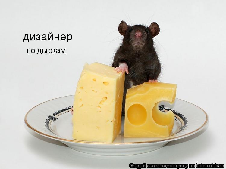 дизайнер по дыркам... Котоматрица: дизайнер по дыркам