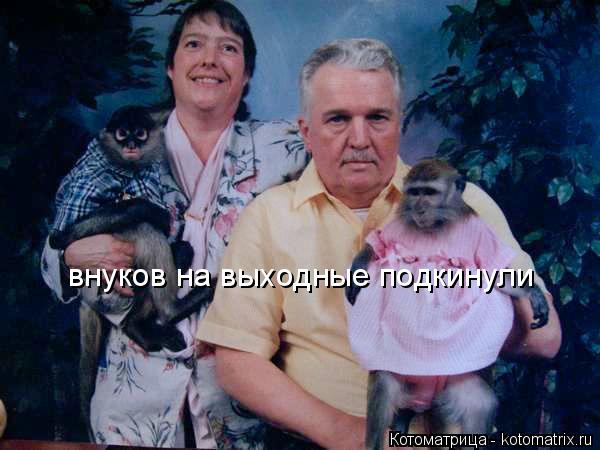 внуков на выходные подкинули... Котоматрица: внуков на выходные подкинули