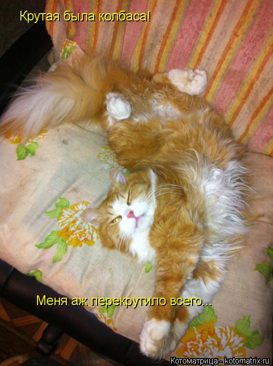 Крутая была колбаса! Меня аж перекрутило всего...... Котоматрица: Крутая была колбаса! Меня аж перекрутило всего...