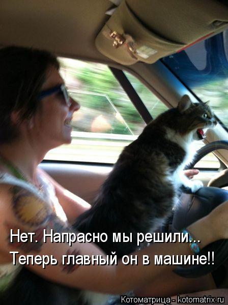 Нет. Напрасно мы решили... Теперь главный он в машине!!... Котоматрица: Нет. Напрасно мы решили... Теперь главный он в машине!!