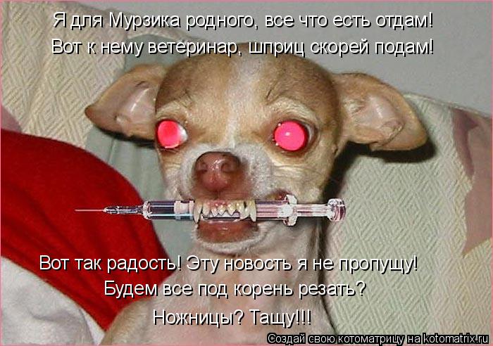 Я для Мурзика родного, все что есть отдам! Вот к нему ветеринар, шприц скорей подам! Будем все под ко... Котоматрица: Я для Мурзика родного, все что есть отдам! Вот к нему ветеринар, шприц скорей подам! Будем все под корень резать? Ножницы? Тащу!!! Вот так радос