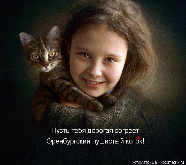 Пусть тебя дорогая согреет, Оренбургский пушистый коток! и... Котоматрица: Пусть тебя дорогая согреет, Оренбургский пушистый коток! и