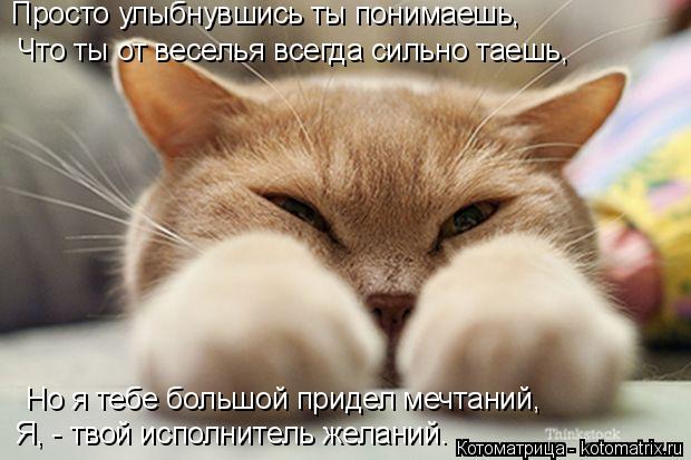 Просто улыбнувшись ты понимаешь, Что ты от веселья всегда сильно таешь, Я, - твой исполнитель желаний... Котоматрица: Просто улыбнувшись ты понимаешь, Что ты от веселья всегда сильно таешь, Я, - твой исполнитель желаний. Но я тебе большой придел мечтаний,