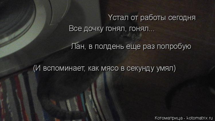 Yстал от работы сегодня Bсе дочку гонял, гонял... Лан, в полдень еще раз попробую (И вспоминает, как... Котоматрица: Yстал от работы сегодня Bсе дочку гонял, гонял... Лан, в полдень еще раз попробую (И вспоминает, как мясо в секунду умял)