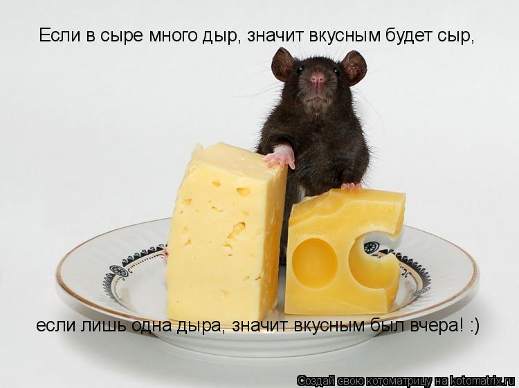 Если в сыре много дыр, значит вкусным будет сыр если лишь одна дыра, значит вкусным был вчера! :) Есл... Котоматрица: Если в сыре много дыр, значит вкусным будет сыр если лишь одна дыра, значит вкусным был вчера! :) Если в сыре много дыр, значит вкусным будет с