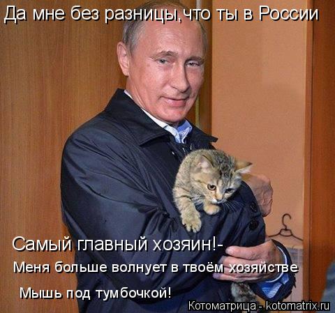 Котоматрица: Да мне без разницы,что ты в России Самый главный хозяин!- Меня больше волнует в твоём хозяйстве Мышь под тумбочкой!