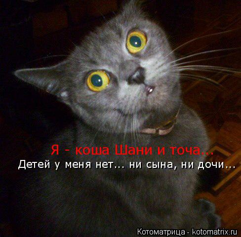 Я - коша Шани и точа... Детей у меня нет... ни сына, ни дочи...... Котоматрица: Я - коша Шани и точа... Детей у меня нет... ни сына, ни дочи...