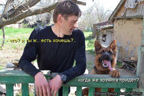 Котоматрица: - когда же хозяйка придёт? - что? и ты ж.. есть хочешь?..