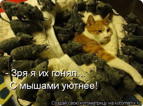 - Зря я их гонял... С мышами уютнее!... Котоматрица: - Зря я их гонял... С мышами уютнее!