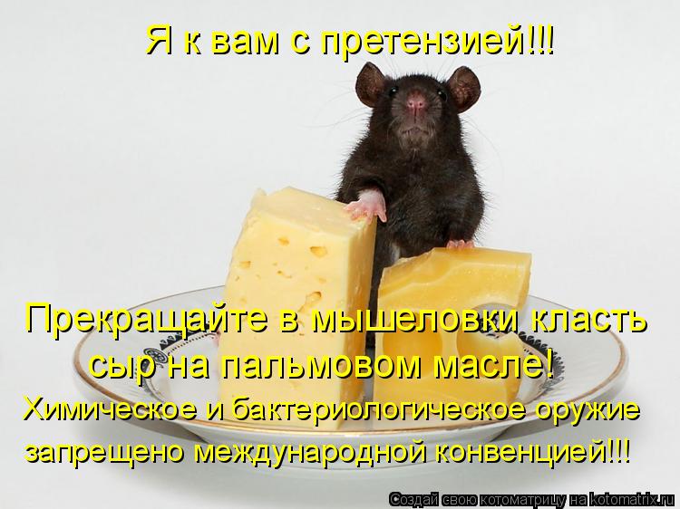 Я к вам с претензией!!! Прекращайте в мышеловки класть сыр на пальмовом масле! Химическое и бактерио... Котоматрица: Я к вам с претензией!!! Прекращайте в мышеловки класть сыр на пальмовом масле! Химическое и бактериологическое оружие запрещено международ