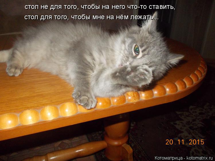 стол не для того, чтобы на него что-то ставить, стол для того, чтобы мне на нём лежать...... Котоматрица: стол не для того, чтобы на него что-то ставить, стол для того, чтобы мне на нём лежать...