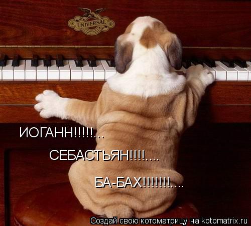 ИОГАНН!!!!!... СЕБАСТЬЯН!!!!.... БА-БАХ!!!!!!!....... Котоматрица: ИОГАНН!!!!!... СЕБАСТЬЯН!!!!.... БА-БАХ!!!!!!!....