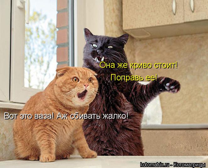 Вот это ваза! Аж сбивать жалко! Она же криво стоит! Поправь ее!... Котоматрица: Вот это ваза! Аж сбивать жалко! Она же криво стоит! Поправь ее!