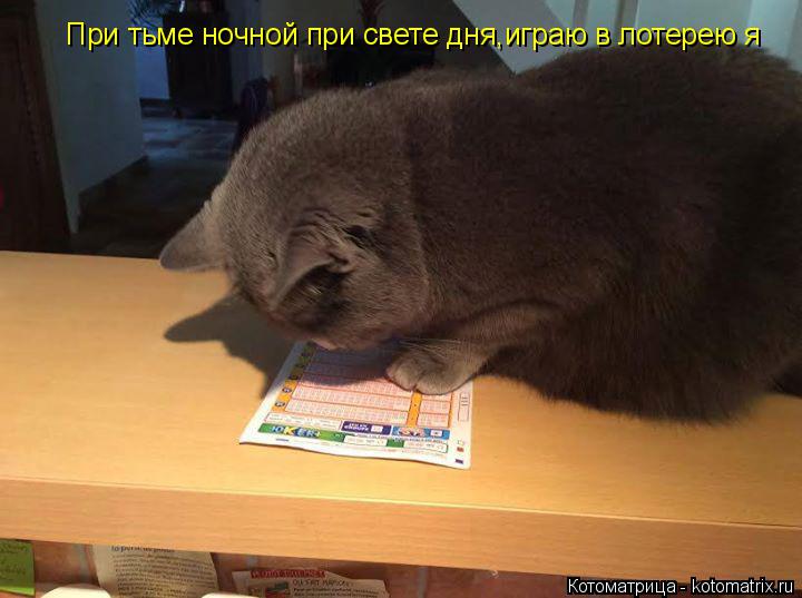 При тьме ночной при свете дня,играю в лотерею я... Котоматрица: При тьме ночной при свете дня,играю в лотерею я