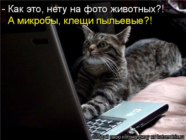 - Как это, нету на фото животных?! А микробы, клещи пыльевые?!... Котоматрица: - Как это, нету на фото животных?! А микробы, клещи пыльевые?!