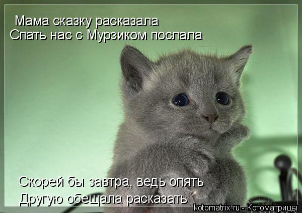 Спать нас с Мурзиком послала Мама сказку расказала Скорей бы завтра, ведь опять Другую обещала расказ... Котоматрица: Спать нас с Мурзиком послала Мама сказку расказала Скорей бы завтра, ведь опять Другую обещала расказать