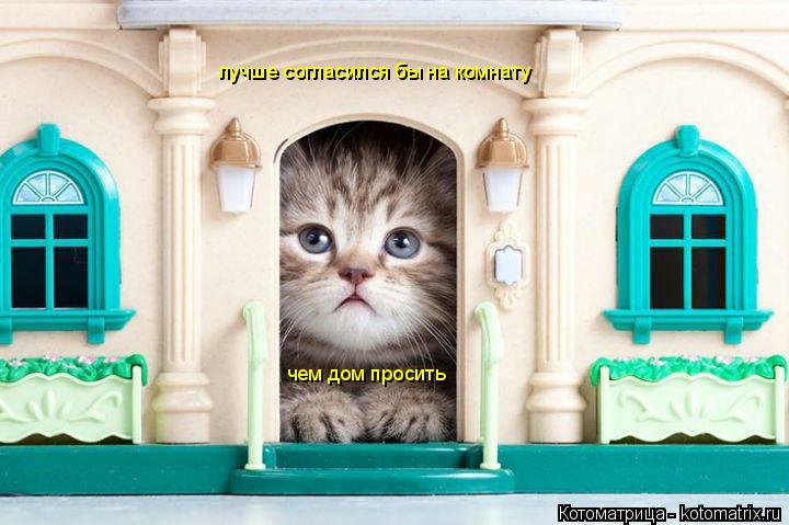 Котоматрица: лучше согласился бы на комнату чем дом просить
