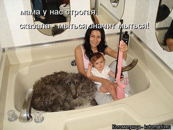 мама у нас строгая. сказала - мыться,значит мыться!... Котоматрица: мама у нас строгая. сказала - мыться,значит мыться!
