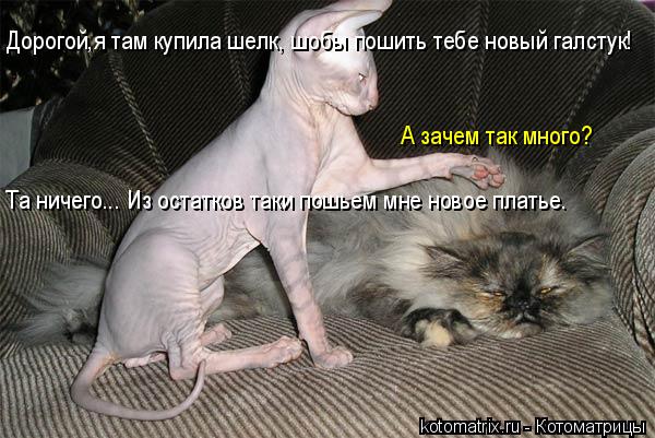 Дорогой,я там купила шелк, шобы пошить тебе новый галстук! Та ничего... Из остатков таки пошьем мне н... Котоматрица: Дорогой,я там купила шелк, шобы пошить тебе новый галстук! Та ничего... Из остатков таки пошьем мне новое платье. А зачем так много?