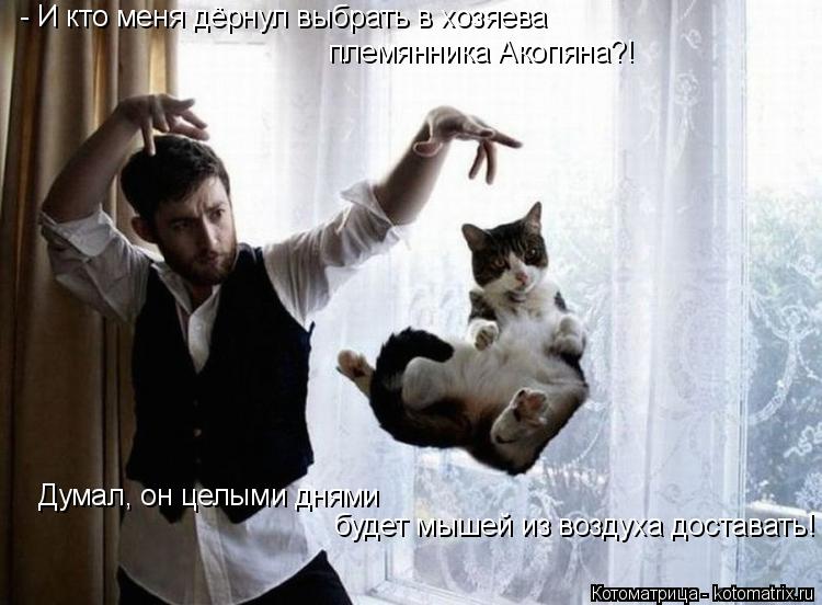 - И кто меня дёрнул выбрать в хозяева племянника Акопяна?! Думал, он целыми днями будет мышей из воз... Котоматрица: - И кто меня дёрнул выбрать в хозяева племянника Акопяна?! Думал, он целыми днями будет мышей из воздуха доставать!