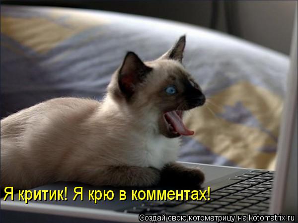 Я критик! Я крю в комментах!... Котоматрица: Я критик! Я крю в комментах!