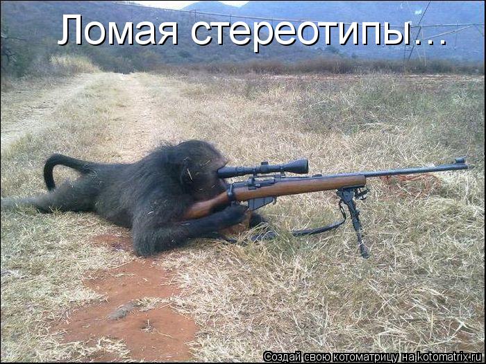 Ломая стереотипы…... Котоматрица: Ломая стереотипы…