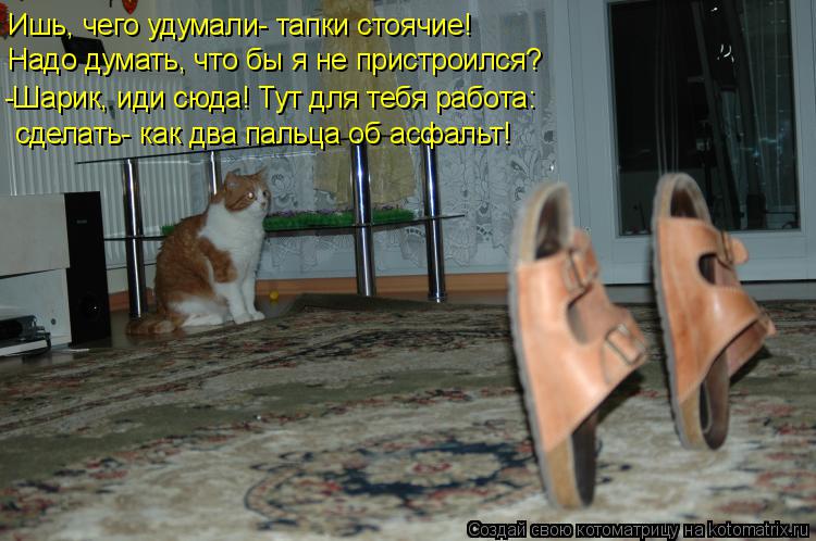 Ишь, чего удумали- тапки стоячие! Надо думать, что бы я не пристроился? -Шарик, иди сюда! Тут для те... Котоматрица: Ишь, чего удумали- тапки стоячие! Надо думать, что бы я не пристроился? -Шарик, иди сюда! Тут для тебя работа: сделать- как два пальца об асфал