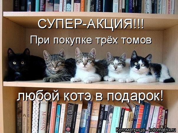 СУПЕР-АКЦИЯ!!! При покупке трёх томов любой котэ в подарок!... Котоматрица: СУПЕР-АКЦИЯ!!! При покупке трёх томов любой котэ в подарок!